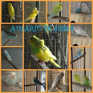 Meet your Posher, Roberto